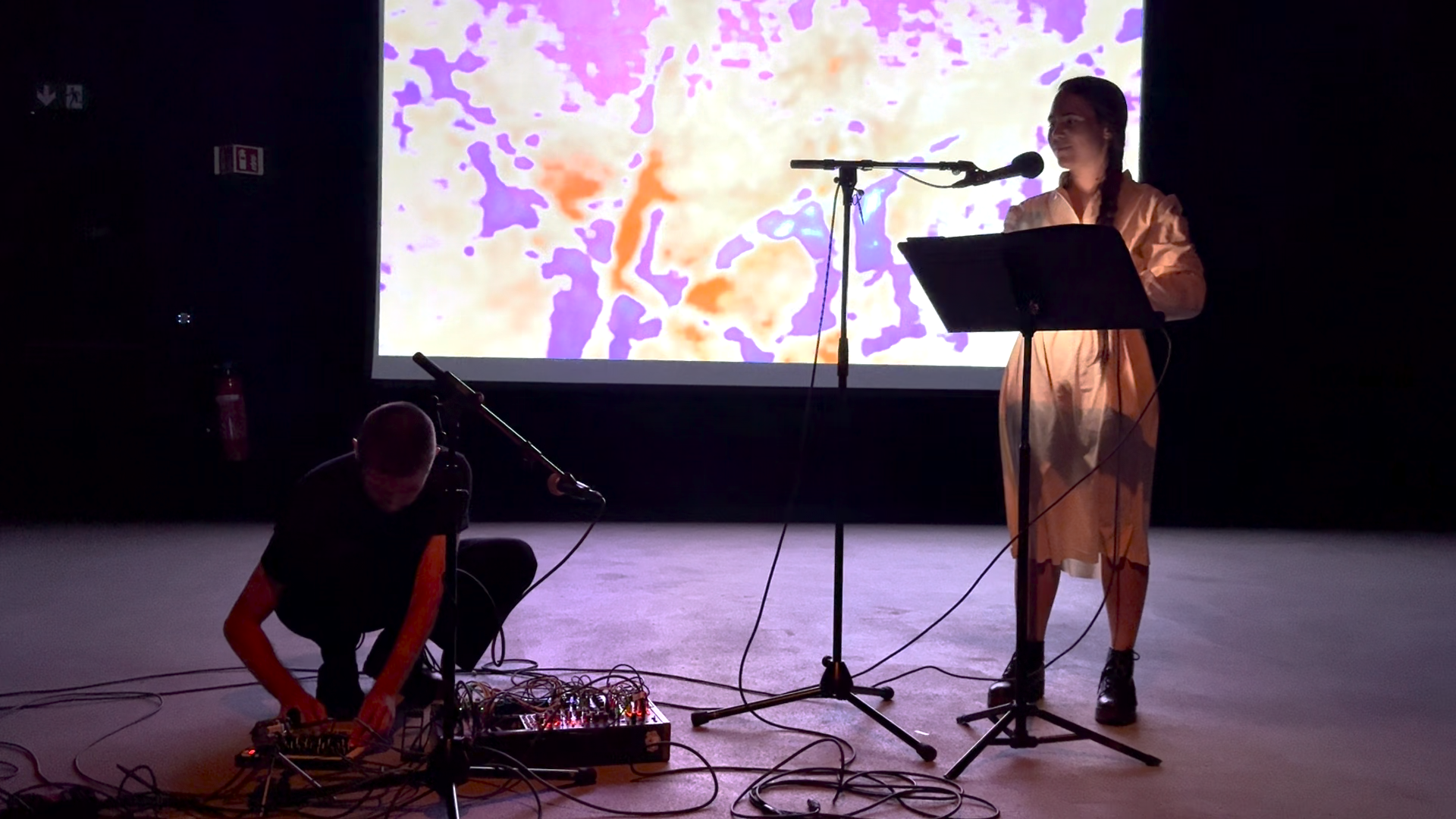 Poésies en Mouvement #15: piez-m-nqu-nte